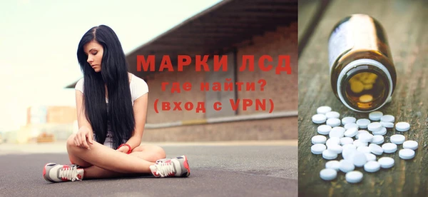 стаф Россошь