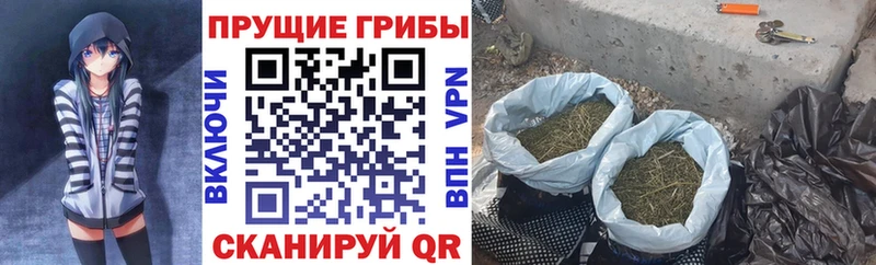 Галлюциногенные грибы мухоморы  МЕГА зеркало  Белый  как найти наркотики 